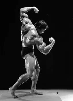 Arnold Schwarzeneggar Bodybuilding Umetnosti Sliko Natisniti Svile Plakat Doma Stenski Dekor